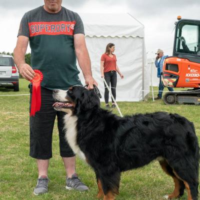  Dsc6428 Large Dog Qualifier Gain All Ireland Championship Fred And Daithi 1
