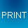 Print Form